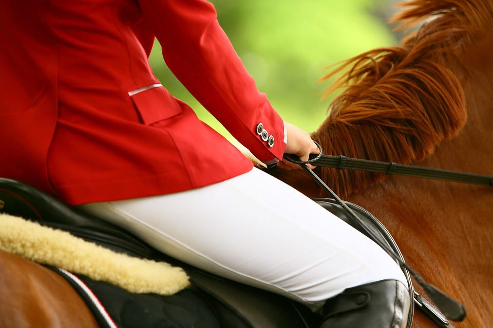 Danni causati dal cavallo e responsabilità civile dell'utilizzatore del cavallo.  Criterio di imputazione della responsabilità civile L’utilità della consulenza legale preventiva e della polizza assicurativa